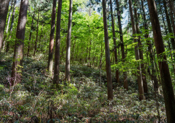 山を見る -多様な立ち位置から見る山・森-を10月５・６日に開催します